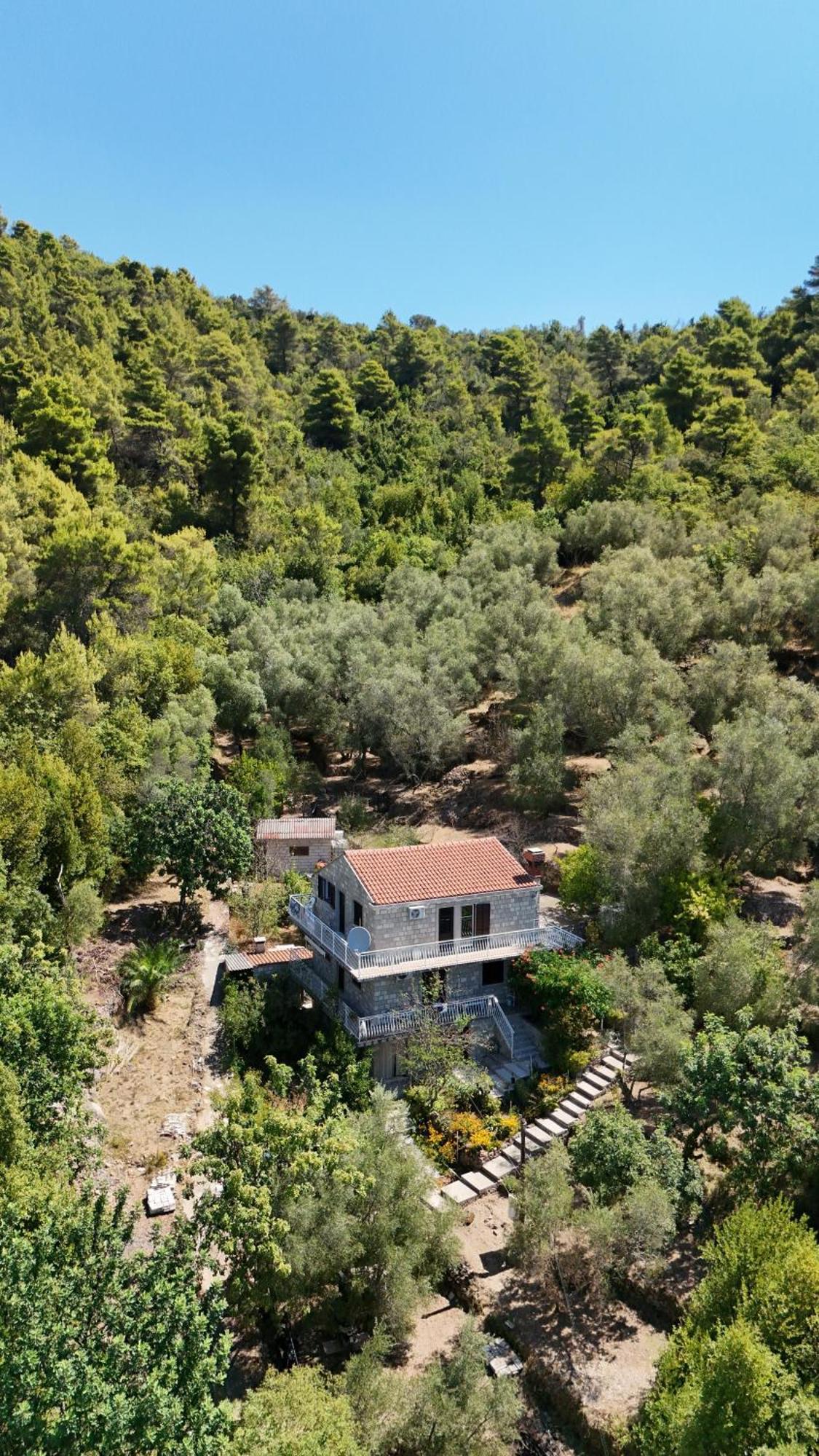 Apartment Kod Jadranke Sipanska Luka  Luaran gambar